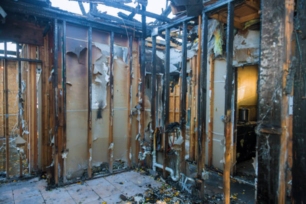 Professional Soot Cleanup technician working in Croydon, PA